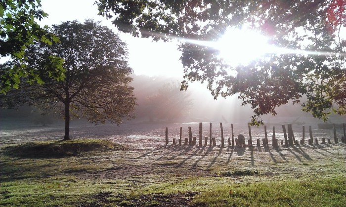 2013-09-23 08.37.30-1