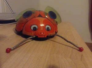 Het  Lieve Verguisde Beest