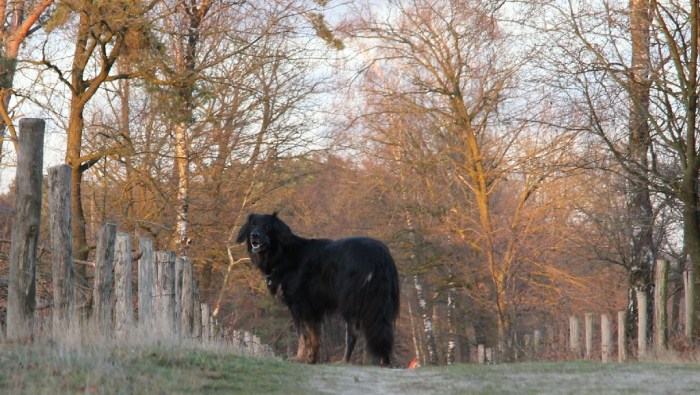 GuusOnTheRoad2IMG_7004