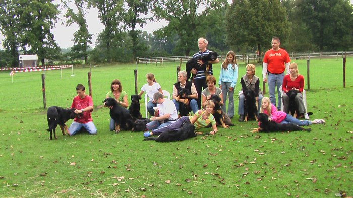 puppycursus 240906004