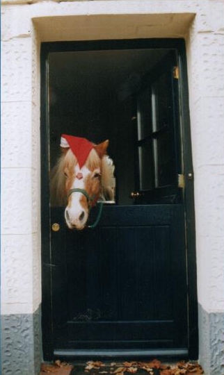 HrappurSaysHappyXmass2001